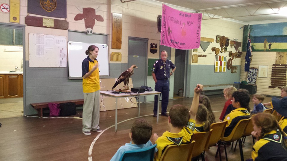 WIRES Information Night