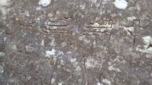 Kariong Glyphs Walk-5