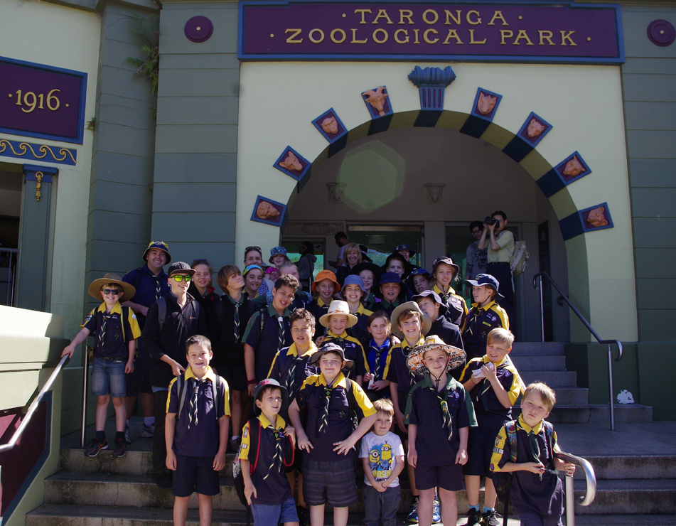 Cubs and Scouts Outside Taronga Zoo