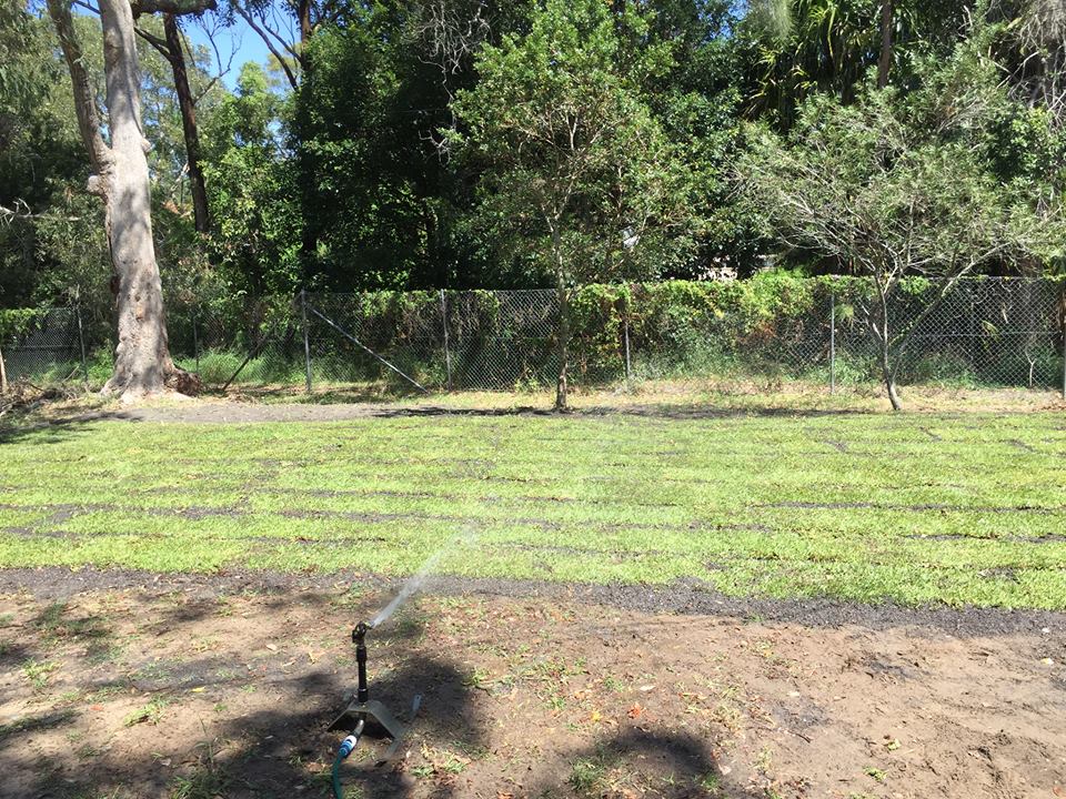 New Lawn Umina Cub Hall